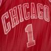 Mitchell & Ness NBA Jersey Swingman Monochrome Chicago Bulls Derrick Rose - TFSM1280-CBU08DRSRED1