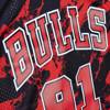 Mitchell & Ness Team Marble NBA Dennis Rodman Chicago Bulls 1997-98 Set