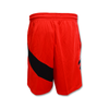 Nike Toronto Raptors Swingman Shorts Road University Red/White - CN8089-657