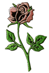 Thermal Patch Rose