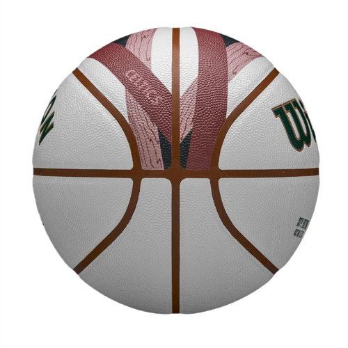 Wilson 2023-2024 NBA Boston Celtics Team City Collector Basketball - WZ4024102XB