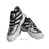 Adidas Top Ten 2010 Shoes White Black - HR0099