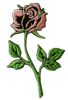 Thermal Patch Rose