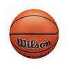 Wilson Evolution Evolution Indoor / Outdoor Basketball - WTB0516XBEMEA