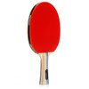 METEOR Sirocco Table Tennis - 15016