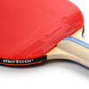 METEOR Sirocco Table Tennis - 15016