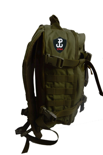 Plecak wojskowy Wisport Sparrow 20 II Cordura Olive Green Custom Patriotic