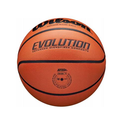 Wilson Evolution Evolution Indoor / Outdoor Basketball - WTB0516XBEMEA