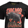 Mitchell & Ness NBA Scienic Chicago Bulls T-Shirt - BMTRFH21APP001-CBUBLCK