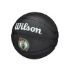 Wilson NBA Team Tribute Boston Miniball - WZ4017605XB